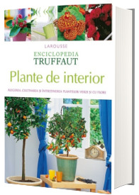 Plante de interior