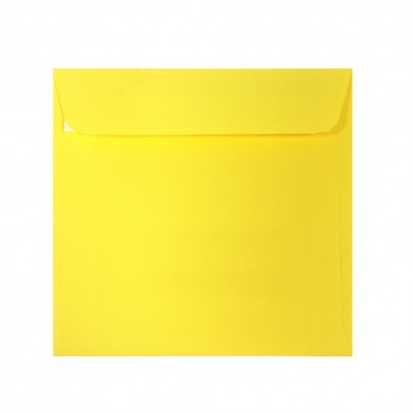 Plic patrat color 16x16 siliconic Daco PC1616G