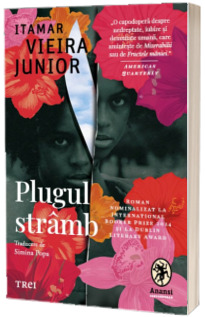 Plugul stramb