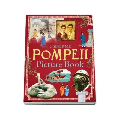 Pompeii picture book