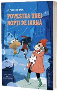 Povestea unei nopti de iarna