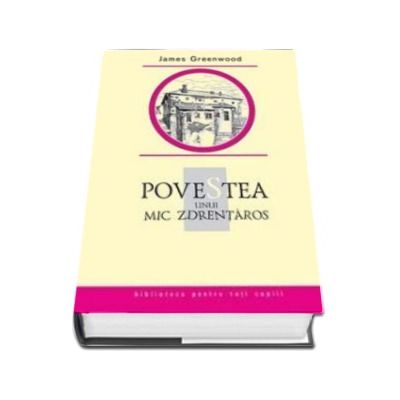 Povestea unui mic zdrentaros - Biblioteca pentru toti copiii