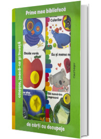 Prima mea biblioteca de carti cu decupaje