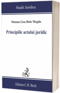 Principiile actului juridic