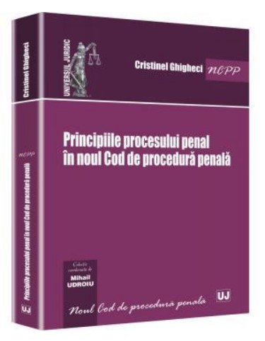 Principiile procesului penal in noul Cod de procedura penala