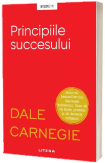 Principiile succesului