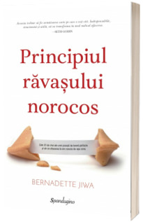 Principiul ravasului norocos