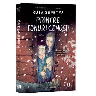 Printre tonuri cenusii