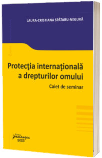 Protectia internationala a drepturilor omului. Caiet de seminar