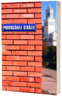 Provocarile strazii