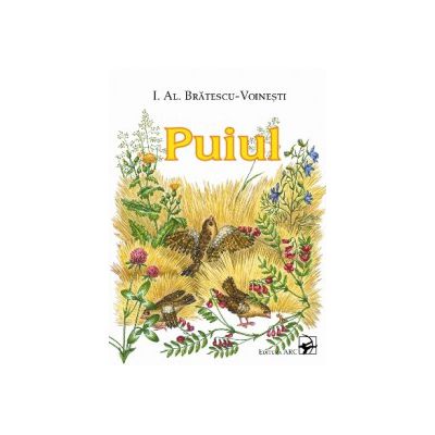 Puiul