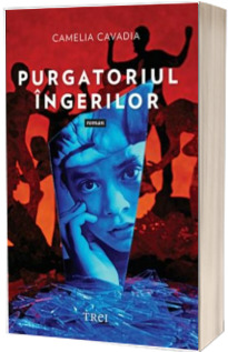 Purgatoriul ingerilor - Camelia Cavadia