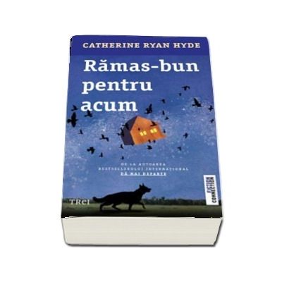 Ramas bun pentru acum