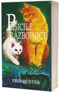 Razboinicii. Furtuna