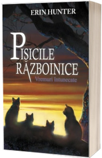 Razboinicii. Vremuri intunecate