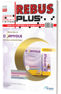 Rebus plus nr. 6 (183) Rebus plus nr. 6 (183)