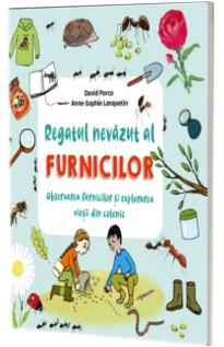 Regatul nevazut al furnicilor