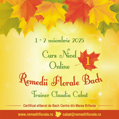 Remedii Florale Bach - Curs nivel 1