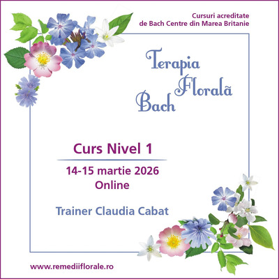 Remedii Florale Bach - Curs nivel 1
