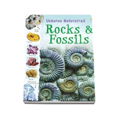 Rocks and fossils