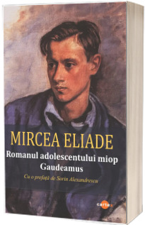 Romanul adolescentului miop