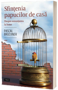 Sfintenia papucilor de casa