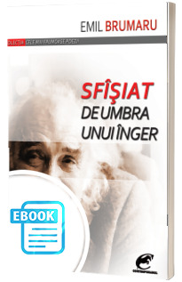 Sfisiat de umbra unui inger