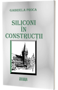 Siliconi in constructii