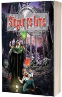 Singur pe lume