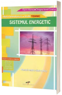 Sistemul energetic. Manual clasa a XI-a