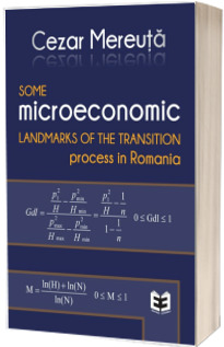 Some microeconomic landmarks of the transition process in Romania