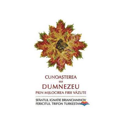 Cunoasterea lui Dumnezeu prin mijlocirea firii vazute