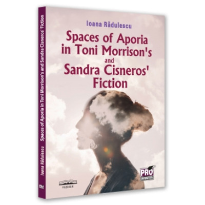 Spaces of Aporia in Toni Morrison s and Sandra Cineros fiction