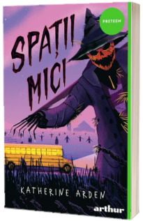 Spatii mici
