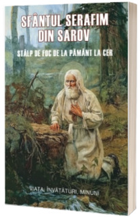 Stalp de foc de la pamant la cer