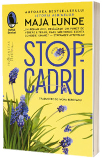 Stop-cadru