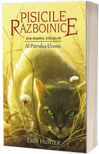 Sub semnul stelelor. Al patrulea ucenic