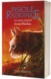 Sub semnul stelelor. Ecouri Pierdute