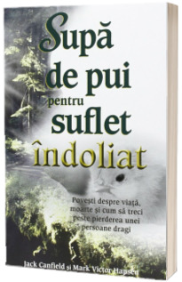 Supa de pui pentru suflet indoliat