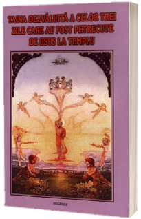 Taina dezvaluita a celor trei zile care au fost petrecute de Iisus la templu