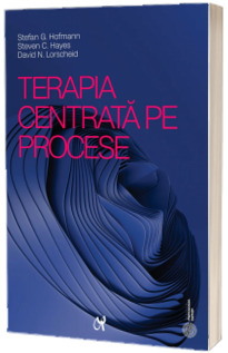Terapia centrata pe procese