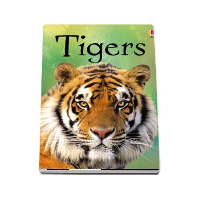 Tigers