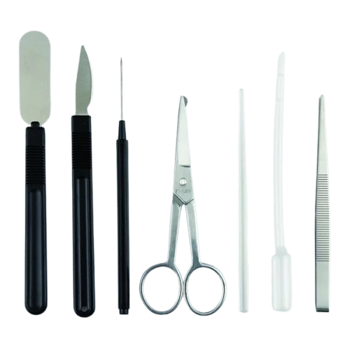 Trusa de disectie 7 piese
