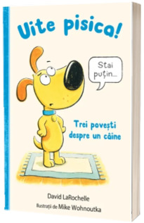 Uite pisica! Trei povesti despre un caine