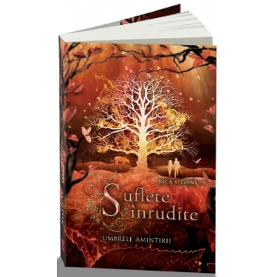 Umbrele amintirii. Suflete inrudite