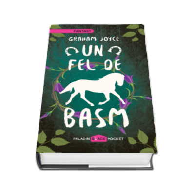 Un fel de basm - Graham Joyce (Paladin Black Pocket)