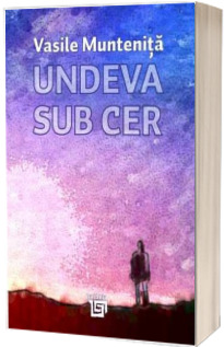 Undeva sub cer