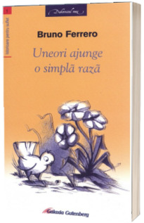 Uneori ajunge o simpla raza