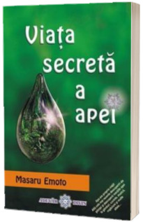 Viata secreta a apei