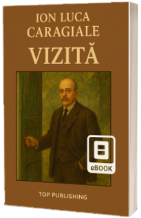 Vizita
